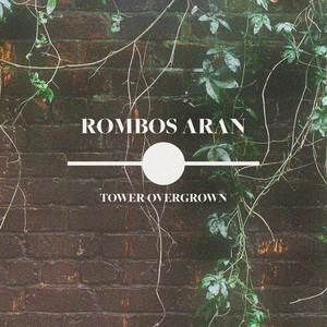 毛茸茸多毛BBBBB毛多
