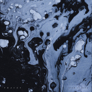 毛茸茸多毛BBBBB毛多
