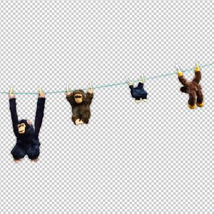 毛茸茸多毛BBBBB毛多
