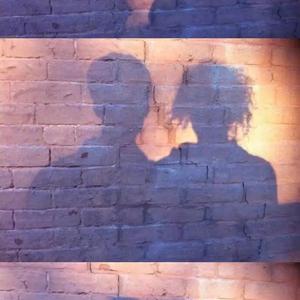 毛茸茸多毛BBBBB毛多
